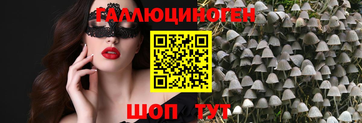 Галлюциногенные грибы Magic Shrooms Прокопьевск